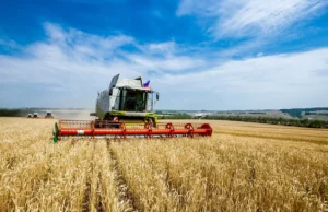 BNDES Aumenta Recursos no Plano Safra 2024/2025 O BNDES liberou R$ 2,2 bilhões para o Plano Safra 2024/2025, fortalecendo a agropecuária e apoiando pequenos produtores.