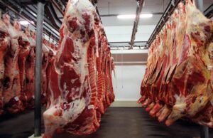 Exportações do agronegócio: carne bovina e suína impulsionam crescimento Exportações do agronegócio somam US$ 14,2 bilhões em setembro, com destaque para a carne bovina e suína.