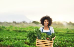Banco Mundial dobra investimentos no agronegócio e foca em sustentabilidade Banco Mundial aumenta investimentos no agronegócio até 2030, visando sustentabilidade e apoio a pequenos produtores.