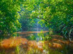 Abastecimento do Aquífero Guarani em risco, diz estudo da Unesp Aquífero Guarani em risco