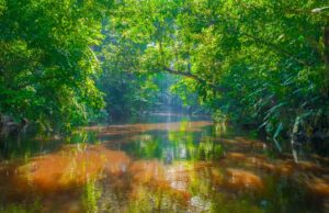 Abastecimento do Aquífero Guarani em risco, diz estudo da Unesp Aquífero Guarani em risco