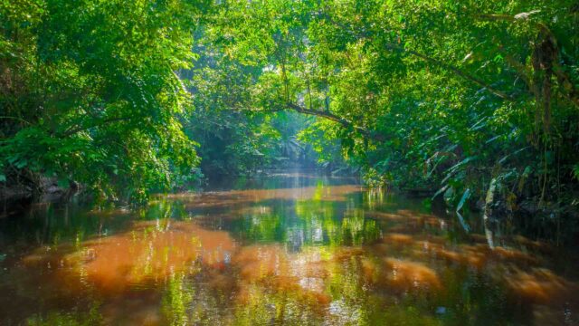 Aquífero Guarani em risco