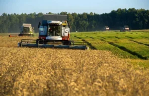 Rússia propõe criação da Bolsa do Brics para regular preços de grãos Rússia propõe a criação da Bolsa do Brics para controlar preços de grãos e fortalecer a economia dos países membros.