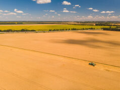 Histórias de Quem Revolucionou a Agropecuária no Brasil