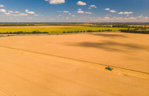 Histórias de Quem Revolucionou a Agropecuária no Brasil