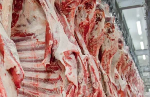 Abiec busca avançar em rastreabilidade de carne para União Europeia Com novas exigências de rastreabilidade, Abiec busca garantir conformidade para carne destinada à UE.