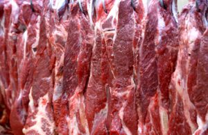 Preço da carne bovina brasileira sobe com maior demanda chinesa Exportadores brasileiros comemoram alta nos preços da carne bovina destinada à China, com avanço de 8,33% nos valores praticados em setembro de 2024.