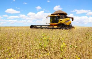 Conab Prevê Crescimento de 8,3% na Safra de Grãos