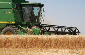 Brasil no Dia Mundial da Alimentação: líder em segurança alimentar global Produção sustentável e segurança alimentar são temas do Dia Mundial da Alimentação, com destaque para o Brasil.