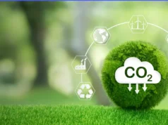 Economia de baixo carbono: Brasil se consolida no mercado de créditos de carbono Brasil tem potencial para liderar a economia de baixo carbono, se destacando no mercado de crédito de carbono.