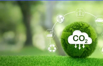 Economia de baixo carbono: Brasil se consolida no mercado de créditos de carbono Brasil tem potencial para liderar a economia de baixo carbono, se destacando no mercado de crédito de carbono.