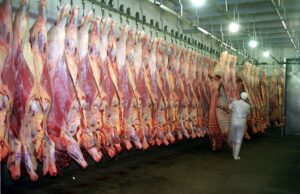 Mercado Árabe Impulsiona Exportações Brasileiras de Carne Bovina