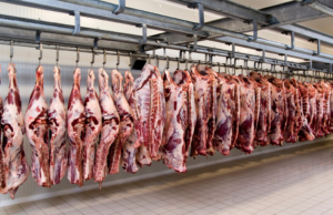 Carne bovina: rastreamento será obrigatório para exportar à China A China exigirá rastreabilidade total da carne bovina brasileira, do nascimento à exportação. Medida afetará produtores e exportadores de carne.