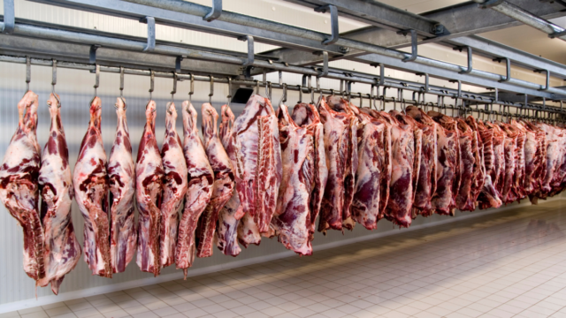 A China exigirá rastreabilidade total da carne bovina brasileira, do nascimento à exportação. Medida afetará produtores e exportadores de carne.