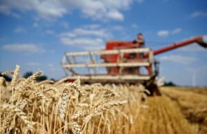 União Europeia: Produção de Cereais em Queda Em 2025, a produção de cereais na União Europeia deve cair, aumentando a necessidade de importação.