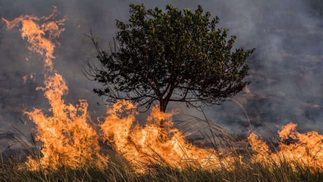 incendios-florestais Ministra do Meio Ambiente criticada por queimadas recordes no Brasil em 2024.