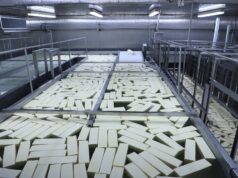 Leite no Paraná: Tecnologia e Cooperativas Impulsionam Produção em 18% Produção de leite no Paraná aumenta, liderada por cooperativas e grandes indústrias