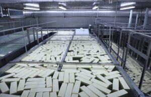 Leite no Paraná: Tecnologia e Cooperativas Impulsionam Produção em 18% Produção de leite no Paraná aumenta, liderada por cooperativas e grandes indústrias