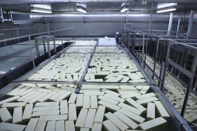 industrialeite Produção de leite no Paraná aumenta, liderada por cooperativas e grandes indústrias