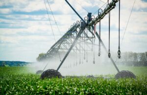 Paraná amplia em 20% área irrigada com novo programa estadual