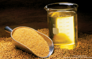 Paraná Exporta US$ 18,1 Bilhões no Agronegócio até Setembro de 2024