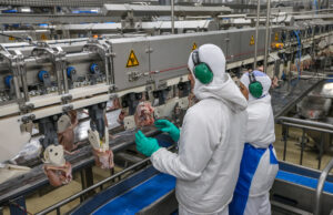 Efeitos da Reforma Tributária sobre Alimentos em debate no Senado Tributação elevada de alimentos preocupa especialistas e senadores no Brasil.