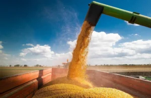 Centro-Oeste lidera no agronegócio com destaque em produção agrícola Soja é a principal cultura no agronegócio, com 42,8% do valor total da produção no Brasil.