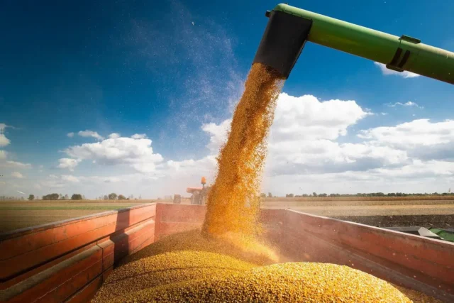 producaoagro Soja é a principal cultura no agronegócio, com 42,8% do valor total da produção no Brasil.
