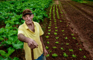 Tribunal de Justiça do MT lança Resolve Agro para apoiar produtores endividados Resolve Agro oferece renegociações de dívidas para produtores rurais, facilitando acordos e evitando processos judiciais no agronegócio.