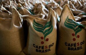 Atrasos em Portos Prejudicam Exportações de Café no Brasil O Brasil acumulou milhões de sacas de café não embarcadas devido a atrasos e falta de infraestrutura nos portos.