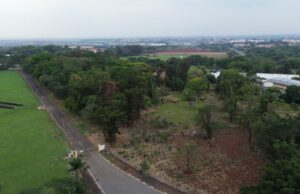 Venda de parte da Fazenda Santa Elisa preocupa setor cafeeiro Setor agrícola e políticos criticam proposta de venda da Fazenda Santa Elisa, centro de pesquisa importante para a cafeicultura.