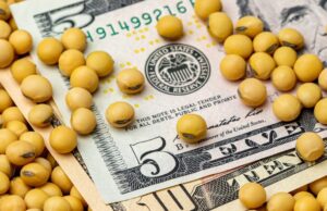 Exportações de soja dos EUA sobem em meio a incertezas comerciais Exportações de soja dos EUA crescem com prêmios recordes e incertezas comerciais com a China. Confira detalhes no Olho no Agro.