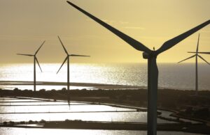 Transição Energética: Agro Brasileiro Como Protagonista