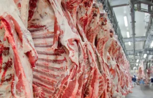 Emirados Árabes Impulsionam Compras de Carne Bovina Brasileira Emirados Árabes aumentam importação de carne bovina brasileira em 126%, consolidando-se como o terceiro maior comprador em 2024.