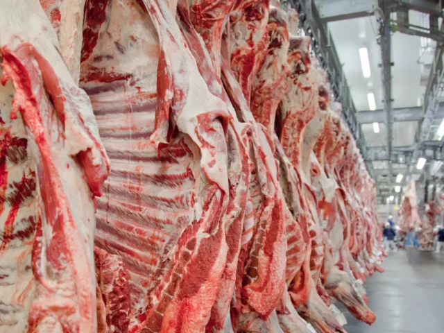 Emirados Árabes aumentam importação de carne bovina brasileira em 126%, consolidando-se como o terceiro maior comprador em 2024.