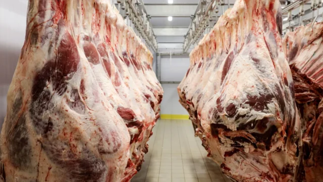 EUA-surpreendem-ao-manter-boicote-a-carne-brasilei0297160900201911051020 Brasil exporta 73,52 mil toneladas de carne bovina in natura em novembro, crescimento de 30,4%. Recorde histórico em outubro com 270 mil toneladas.