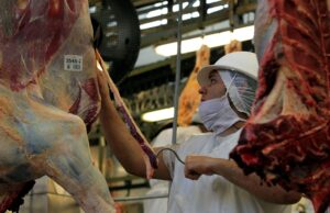 Abate de bovinos cresce 14,8% no terceiro trimestre de 2024 Crescimento de 14,8% no abate bovino é destaque no terceiro trimestre de 2024. Veja os números atualizados do setor pecuário brasileiro.