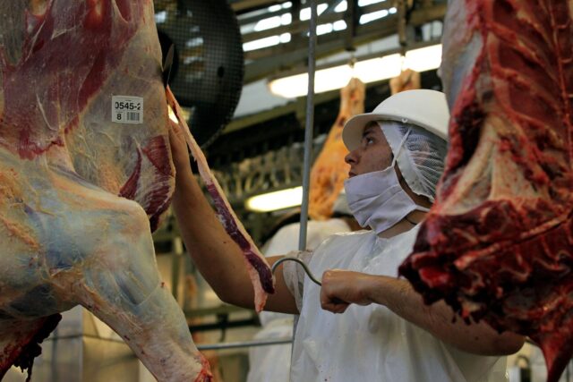 Forbes_Trabalhador-em-frigorifico Crescimento de 14,8% no abate bovino é destaque no terceiro trimestre de 2024. Veja os números atualizados do setor pecuário brasileiro.