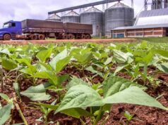 Brasil Expande Exportações com Abertura de Novos Mercados Globais Com apoio do Mapa e MRE, Brasil abre 270 novos mercados agrícolas em 61 países, impulsionando exportações do agronegócio.