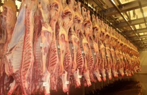Importação de carne bovina pela China recua, mas Brasil mantém liderança Importação de carne bovina pela China atinge menor volume em 5 anos. Brasil continua como principal fornecedor.