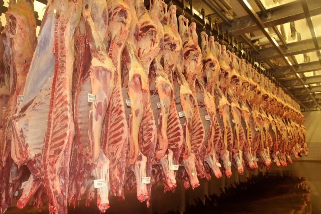 Importação de carne bovina pela China atinge menor volume em 5 anos. Brasil continua como principal fornecedor.