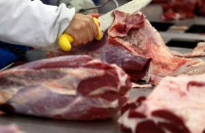 Abiec Participa de Exposição na China para Fortalecer Exportação de Carne Bovina Carne bovina do Brasil expande presença no mercado chinês com novo projeto da Abiec, destacando confiança e qualidade.