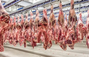 Carne Bovina Lidera Exportações Agropecuárias Brasileiras em 2024 Exportações de carne bovina impulsionam agro em 2024, mesmo com queda geral do faturamento em dólar no setor.