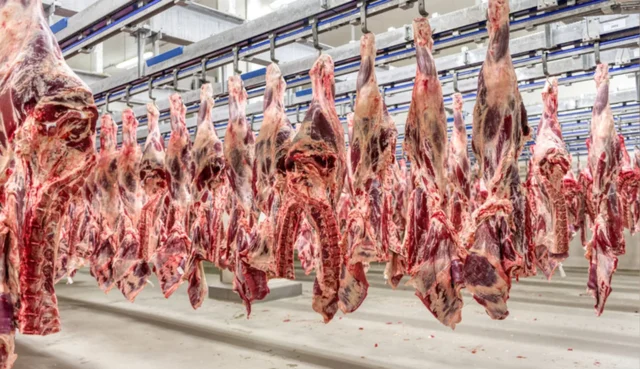 Exportações de carne bovina impulsionam agro em 2024, mesmo com queda geral do faturamento em dólar no setor.