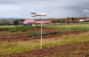 Paraná adota Inteligência Artificial para monitoramento avançado da ferrugem da soja Paraná aplica IA no combate à ferrugem da soja