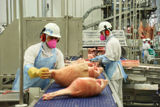 O Paraná lidera no aumento de empregos formais em frigoríficos de suínos em 2023, com crescimento de 17% no setor de suinocultura.