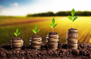 Selic alta impacta o crédito rural: saiba como se planejar Alta da Selic aumenta custos do crédito rural. Descubra como se planejar para manter a saúde financeira no agronegócio.