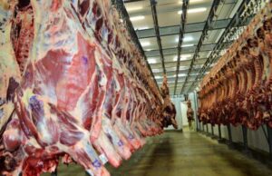 Exportação de carne cresce em ritmo menor