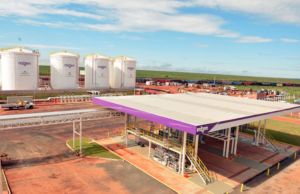 Os maiores grupos agrícolas que transformam o Brasil Conheça os maiores grupos agrícolas que transformam o agronegócio brasileiro com inovação, tecnologia e grandes áreas cultivadas.