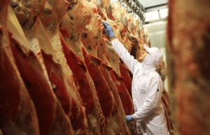 Exportações de carne bovina desaceleram em novembro, mas receita registra alta de 25%